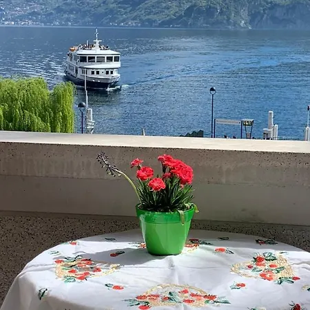 Zippity Doo Dah - - Appartement