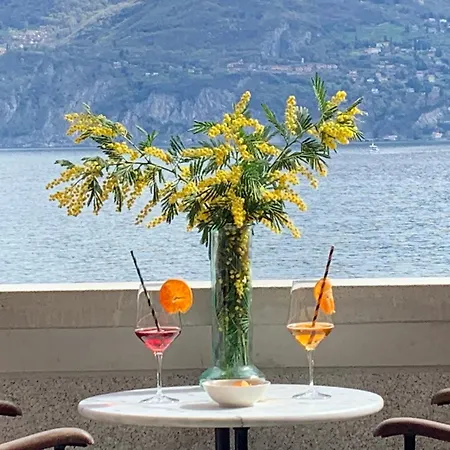 Zippity Doo Dah - - Appartement