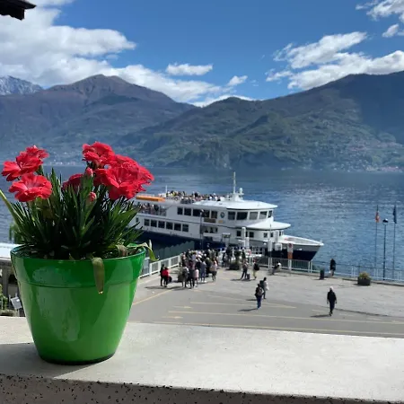 Zippity Doo Dah - - Apartament