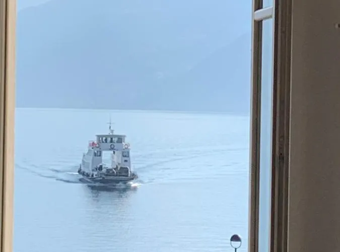 Zippity Doo Dah - - * メナッジョ