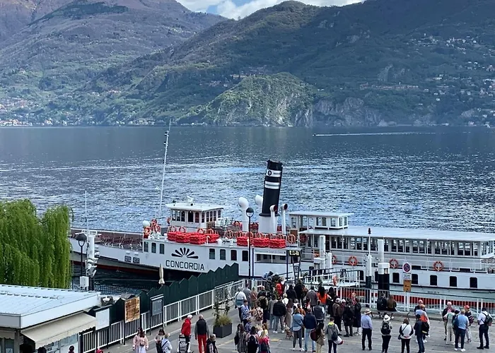 Zippity Doo Dah - - アパート メナッジョ