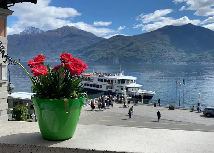 Zippity Doo Dah - - Apartment