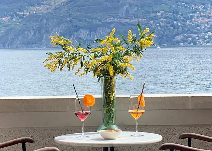 Zippity Doo Dah - - Apartment