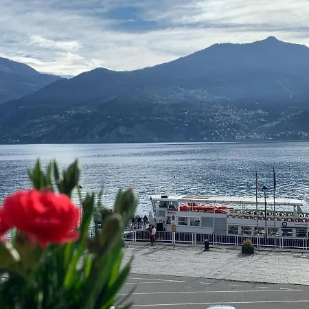 アパート Zippity Doo Dah - - メナッジョ