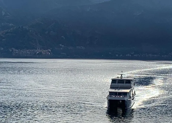 Appartement Zippity Doo Dah - -