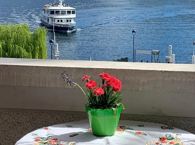 Zippity Doo Dah - - Appartement